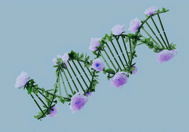 ministry of technical education background